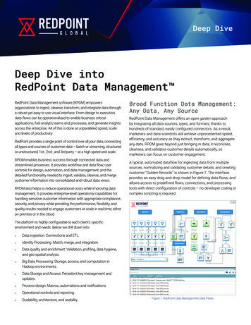 Deep Dive Into RedPoint Data Management 