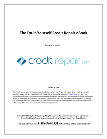 The Do-It-Yourself Credit Repair EBook