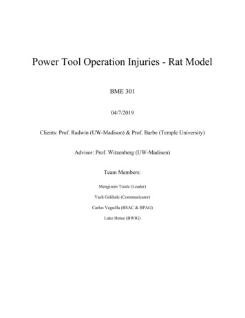 Power Tool Operation Injuries - Rat Model