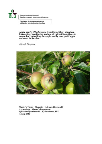 Apple Sawfly (Hoplocampa Testudinea, Klug . - SLU.SE