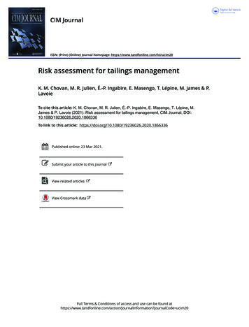 Risk Assessment For Tailings Management