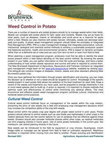 Weed Control In Potato - Gnb.ca