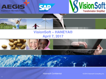 VisionSoft HANEYA April 7, 2017