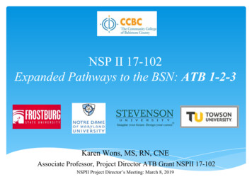 Expanded Pathways To The BSN: ATB 1-2-3 NSP II 17-102