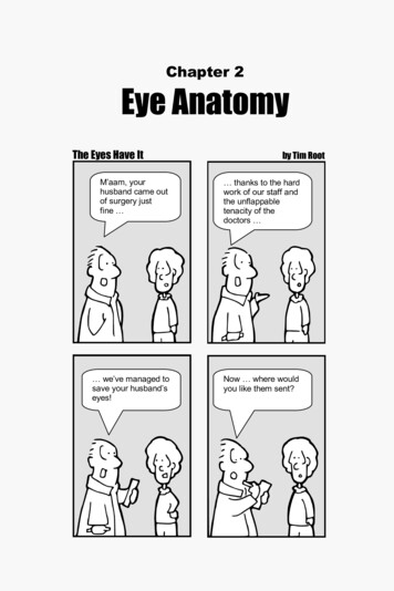 Chapter 2 Eye Anatomy - Frank's Hospital Workshop