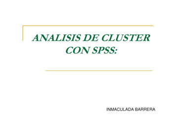 ANALISIS DE CLUSTER CON SPSS - WordPress 