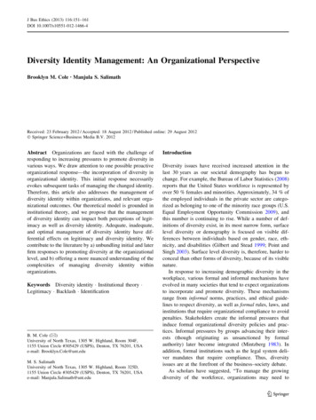 Diversity Identity Management: An Organizational Perspective