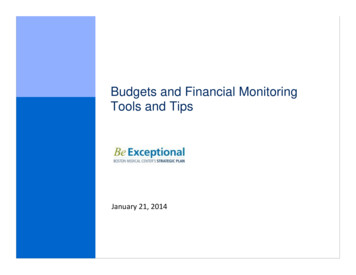 Budgets And Financial Monitoring Tools And Tips