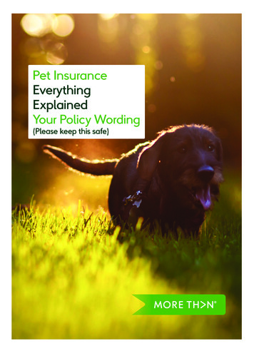 Pet Insurance Everything Explained Your Policy Wording