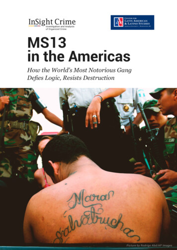 MS13 In The Americas - InSight Crime