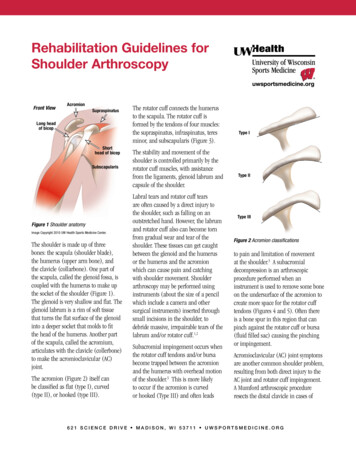 Rehabilitation Guidelines For Shoulder Arthroscopy
