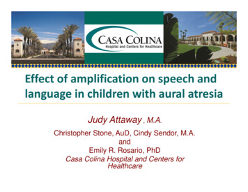 Effect Of Amplification On Speech And Language In Children .