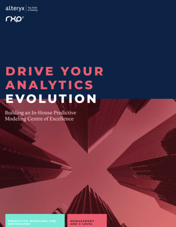 DRIVE YOUR ANALYTICS EVOLUTION - Capitalize Consulting