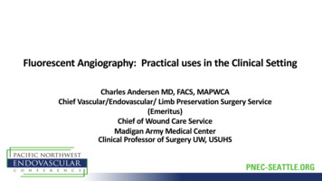 Fluorescent Angiography: Practical Uses In The Clinical .