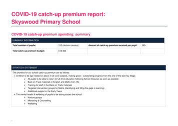 COVID-19 Catch-up Premium Report: Skyswood Primary School