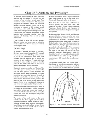 Chapter 7: Anatomy And Physiology