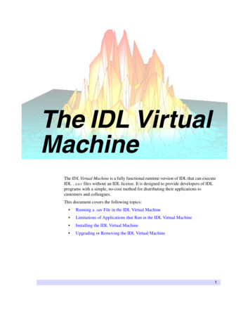 The IDL Virtual Machine - IZMIRAN