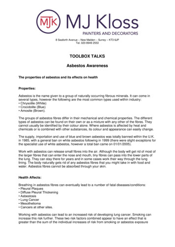 TOOLBOX TALKS Asbestos Awareness - MJ Kloss