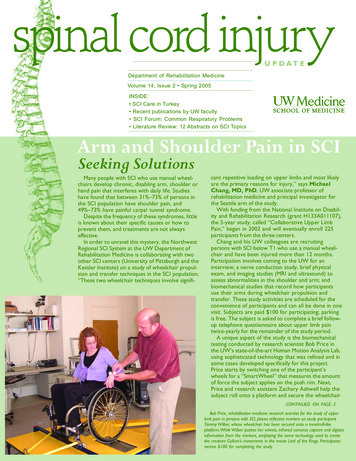 Arm And Shoulder Pain In SCI Seeking Solutions