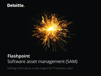 Software Asset Management (SAM)