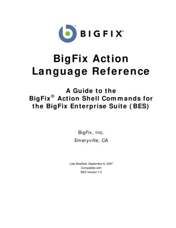BigFix Action Language Reference
